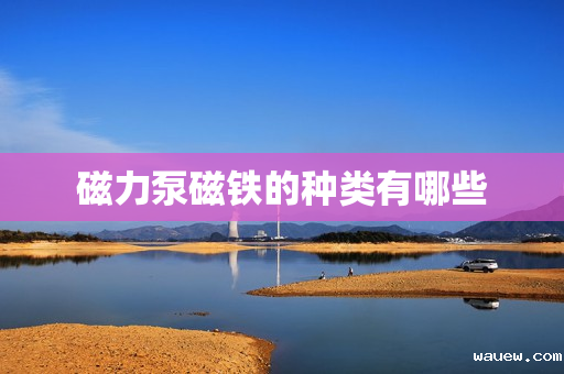 磁力泵磁铁的种类有哪些