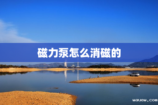 磁力泵怎么消磁的