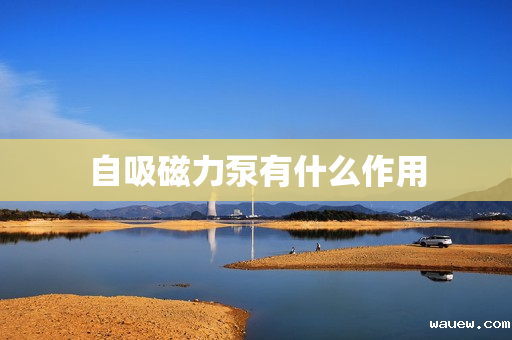 自吸磁力泵有什么作用