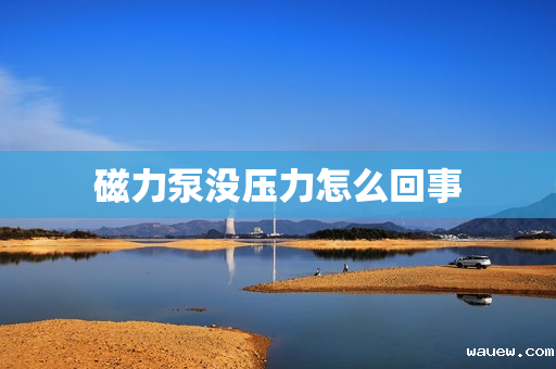 磁力泵没压力怎么回事