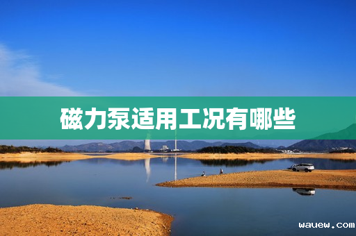 磁力泵适用工况有哪些