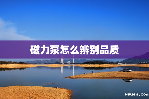 磁力泵怎么辨别品质