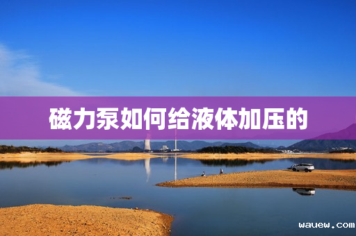 磁力泵如何给液体加压的