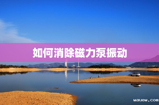 如何消除磁力泵振动