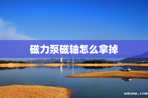 磁力泵磁轴怎么拿掉