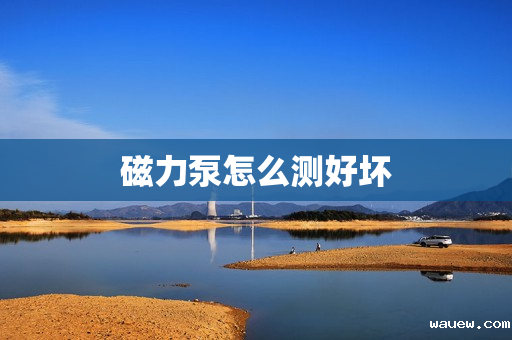 磁力泵怎么测好坏