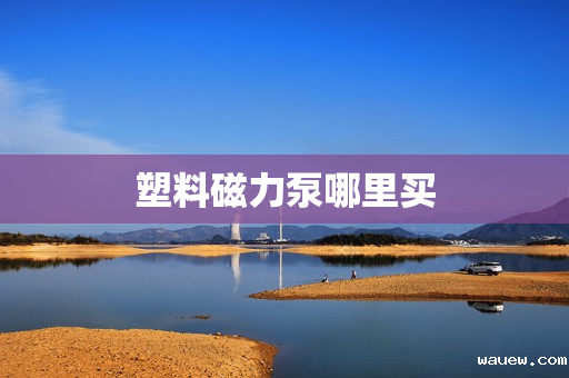 塑料磁力泵哪里买