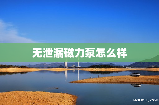 无泄漏磁力泵怎么样