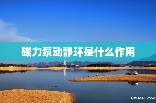 磁力泵动静环是什么作用