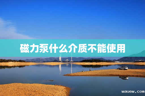 磁力泵什么介质不能使用