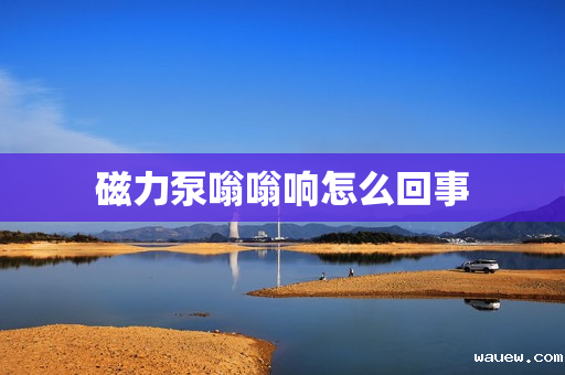 磁力泵嗡嗡响怎么回事