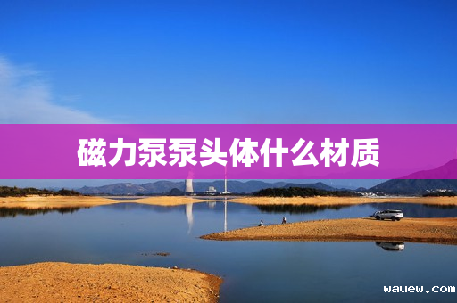 磁力泵泵头体什么材质