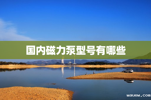 国内磁力泵型号有哪些