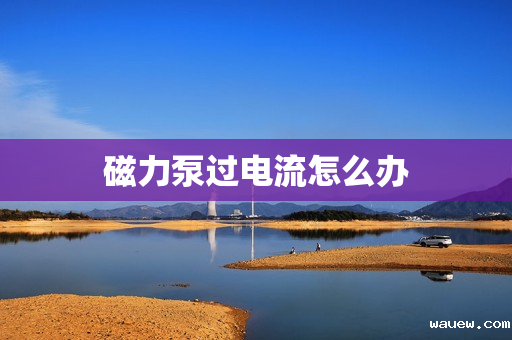 磁力泵过电流怎么办