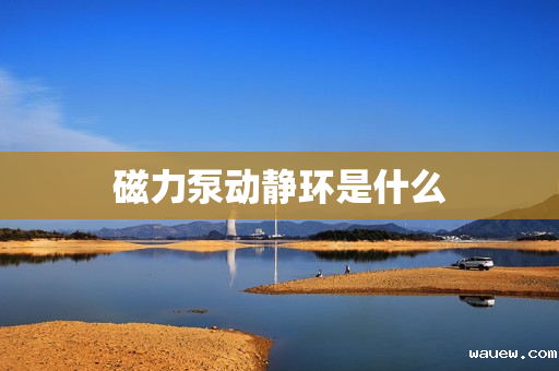 磁力泵动静环是什么