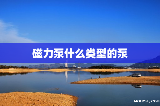 磁力泵什么类型的泵