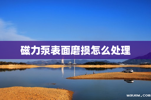 磁力泵表面磨损怎么处理