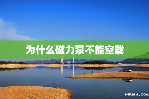 为什么磁力泵不能空载