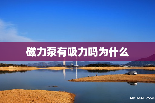 磁力泵有吸力吗为什么