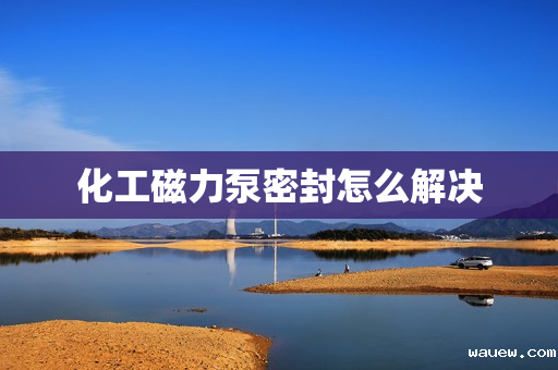 化工磁力泵密封怎么解决