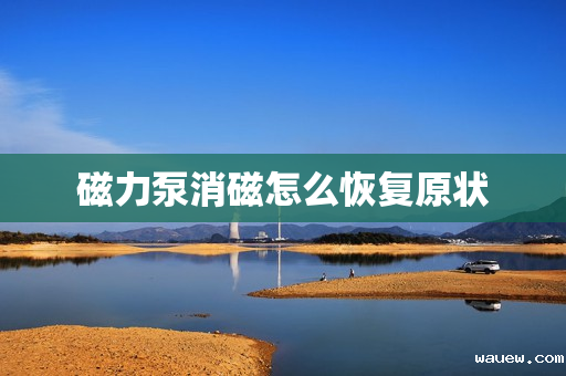 磁力泵消磁怎么恢复原状