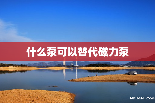 什么泵可以替代磁力泵