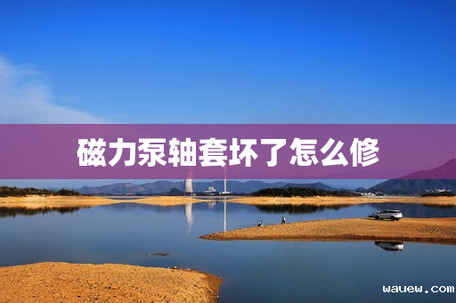 磁力泵轴套坏了怎么修