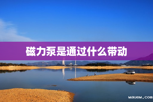 磁力泵是通过什么带动