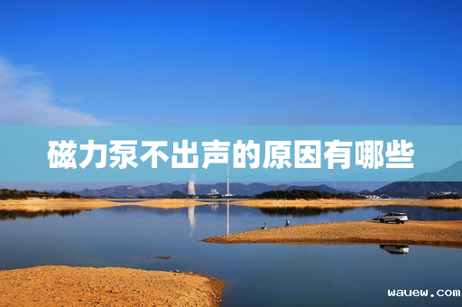 磁力泵不出声的原因有哪些