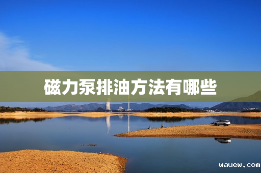 磁力泵排油方法有哪些