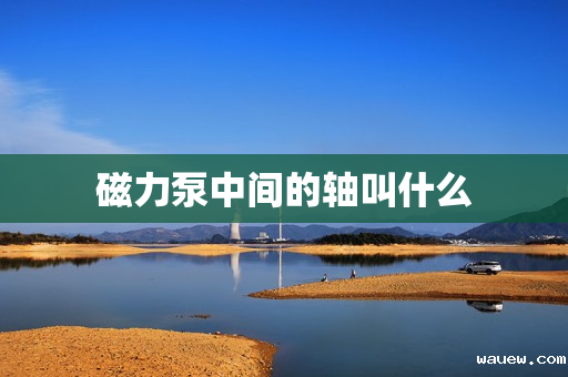 磁力泵中间的轴叫什么