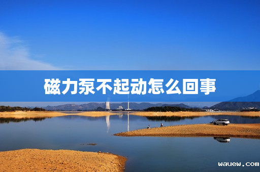 磁力泵不起动怎么回事