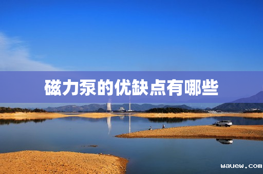 磁力泵的优缺点有哪些