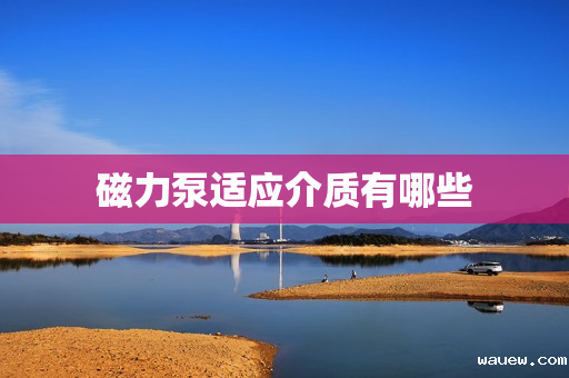 磁力泵适应介质有哪些