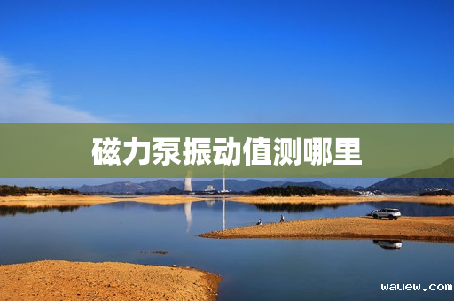 磁力泵振动值测哪里