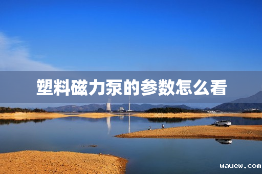 塑料磁力泵的参数怎么看