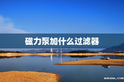 磁力泵加什么过滤器