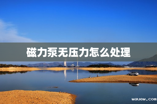 磁力泵无压力怎么处理