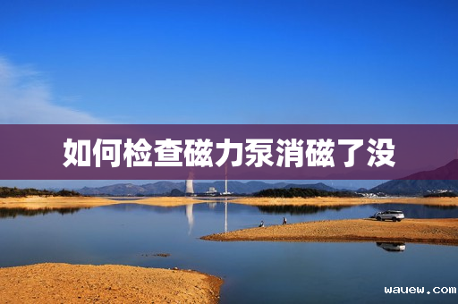 如何检查磁力泵消磁了没