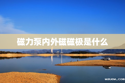 磁力泵内外磁磁极是什么