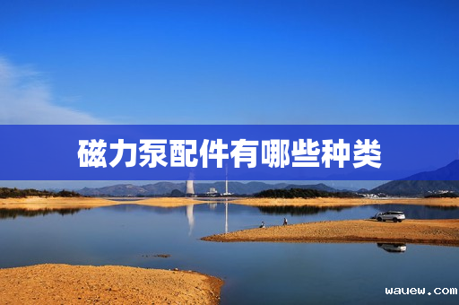 磁力泵配件有哪些种类