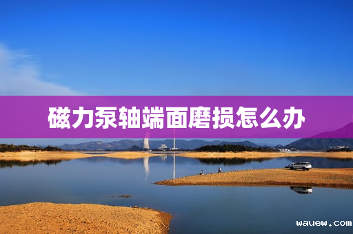 磁力泵轴端面磨损怎么办