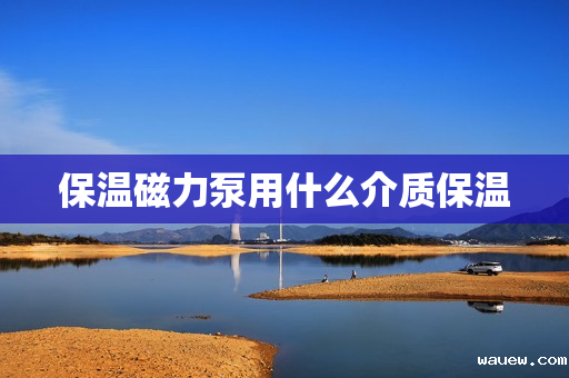 保温磁力泵用什么介质保温