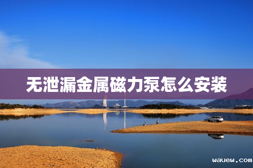 无泄漏金属磁力泵怎么安装