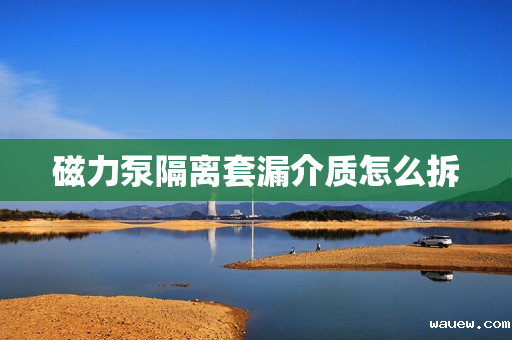 磁力泵隔离套漏介质怎么拆