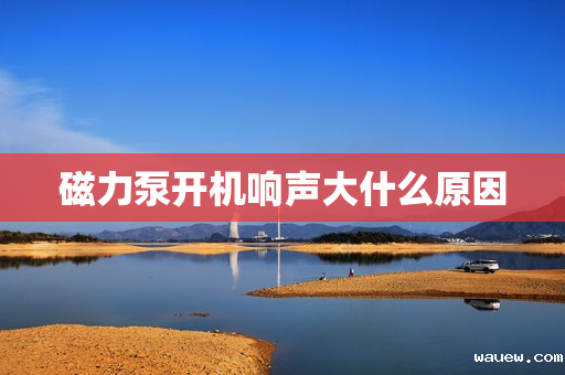 磁力泵开机响声大什么原因