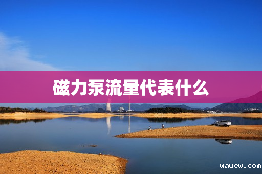 磁力泵流量代表什么