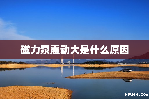 磁力泵震动大是什么原因