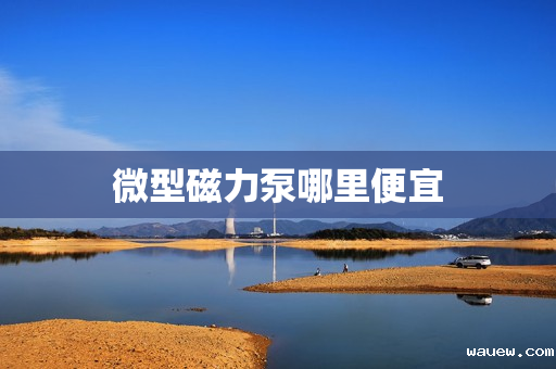 微型磁力泵哪里便宜