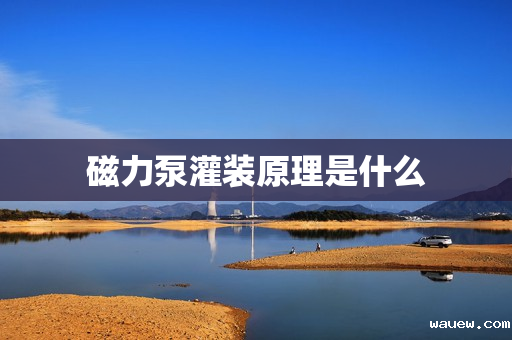 磁力泵灌装原理是什么